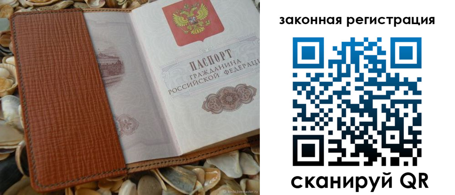 прописка паспорт в Тимашёвске